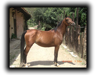 ritza
